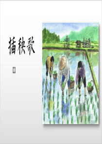 统编版高中语文必修上册《插秧歌》PPT优质课件15张ppt