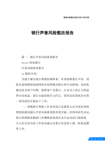 银行声誉风险整改报告