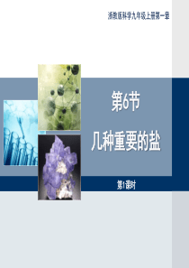 浙教版九年级上册科学《几种重要的盐》第一课时优秀课件