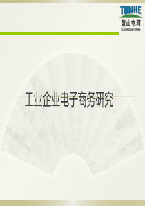 企业电子商务研究2015