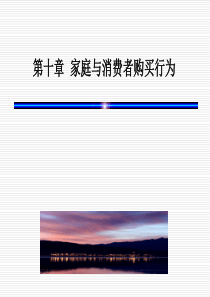 消费者行为学第十章
