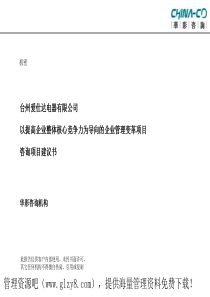 台州XX电器有限公司咨询项目建议书