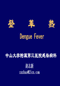 【医学精品课件】登革热
