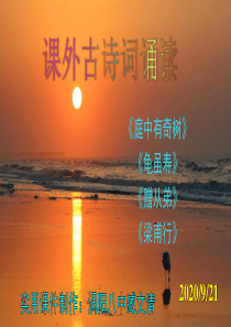 《庭中有奇树》-《龟虽寿》-《赠从弟》-《梁甫行》优秀课件