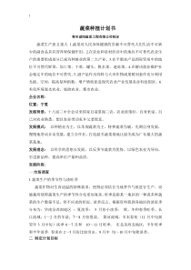 蔬菜种植计划书