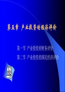5产业投资的经济评价