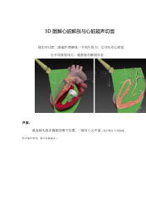 3D图解心脏解剖与心脏超声切面