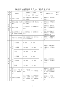 钢筋网喷射混凝土支护工程质量标准