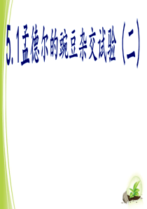孟德尔的豌豆杂交实验(二)--经典复习课程