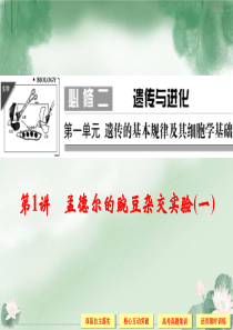 高三一轮复习---基因的分离定律