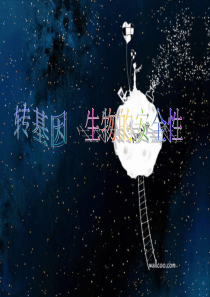 转基因生物的安全性