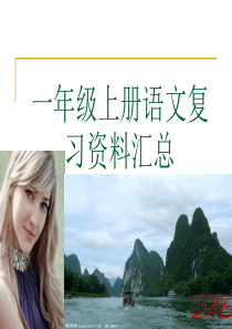 一年级上册语文复习资料汇总(同音字)