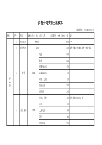 贸易公司预算表