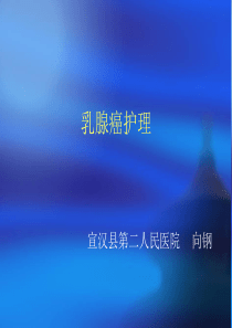 乳腺癌护理课件(新)