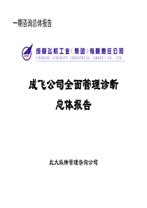 北大纵横成飞公司全面管理诊断总体报告（推荐PPT229）