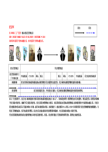 贸易术语图解下载_doc可编辑
