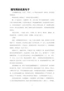 描写雨的优美句子下载_doc可编辑