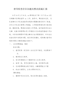 督导检查存在问题及整改措施汇报
