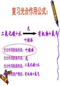 初中生物苏教版七年级上册第3单元-生物圈中的绿色植物第6章-绿色植物的光合作用和呼吸作用第二节-植物