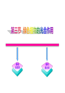 初中生物——绿色植物的光合作用讲义