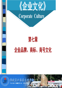 企业文化第七章