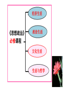 高中政治 文化生活 1.1体味文化课件