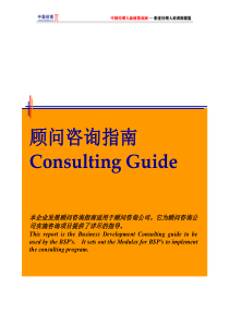 咨询顾问手册(1)