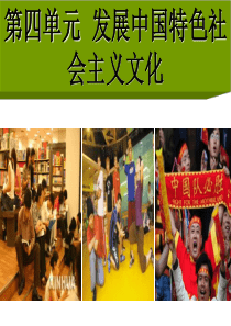 公开课色彩斑斓的文化生活