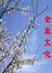 企业文化经典案例分析