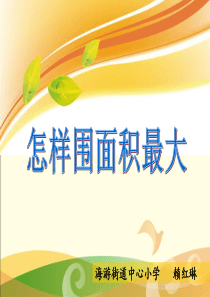 怎样围面积最大