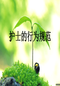 护士行为规范