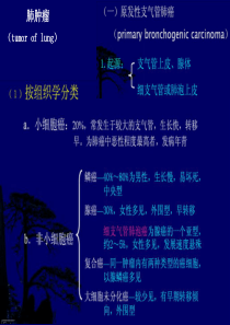 呼吸系统肿瘤X线诊断(大量实例X片)