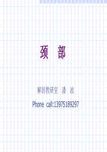 局解-颈部