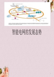 智能电网的发展态势概述(PPT-36页)