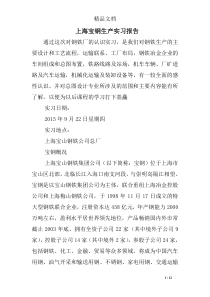 上海宝钢生产实习报告