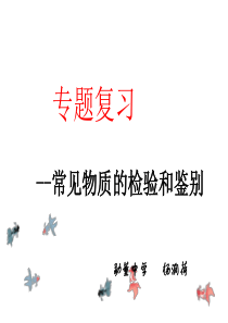 专题复习《物质的检验和鉴别》课件