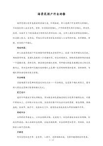 婚庆公司最新草坪婚礼策划方案