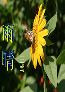二年级下册108页古诗《雨晴》