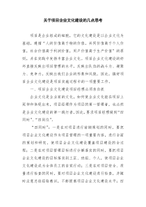关于项目企业文化建设的几点思考