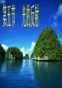 苏科版光的反射ppt