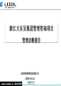 大东吴集团管理诊断报告