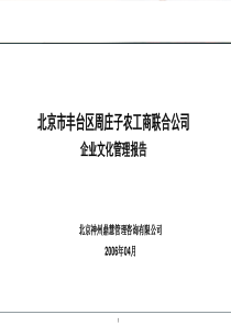 北京周庄子公司企业文化报告(ppt 63) 