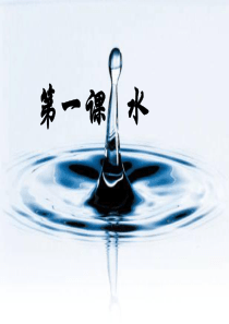 三年级上册科学《 水》
