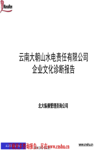 北大纵横-云南大朝山-企业文化诊断报告