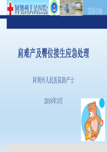 2018年肩难产及臀位的应急处理课件