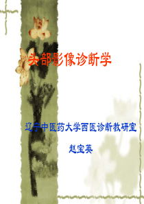 头部CT诊断学