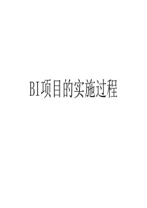 BI项目的实施过程
