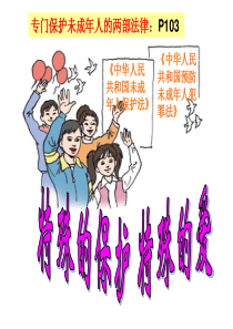 特殊的保护特殊爱能用