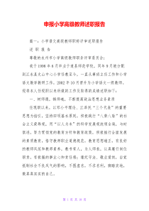 申报小学高级教师述职报告