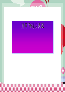 直角的初步认识-角的初步认识PPT课件